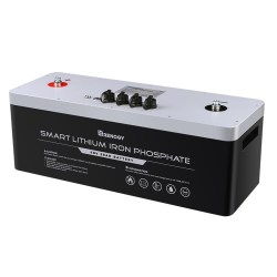 LiFePO4 (LFP)  48V, 50Ah battery5
